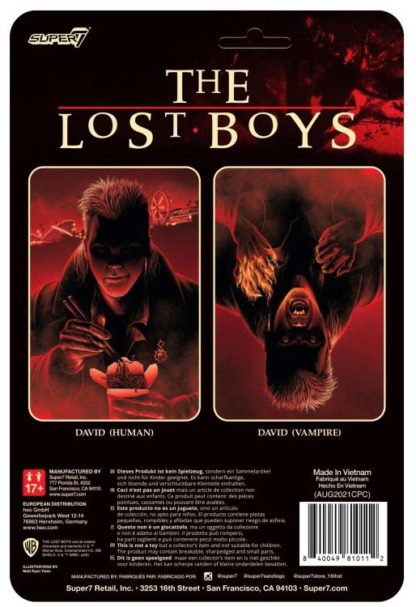 David (Human) (The Lost Boys) - Image 2