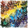 Galison Rainbow Butterflies Jigsaw Puzzle, 500 Pieces, 20”x20” – Features an Array of Butterflies in a Mesmerizing Rainbow of Color – Challenging, Perfect for Family Fun – Fun Indoor Activity - Image 2
